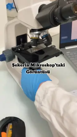 Mikroskoptaki Şeker