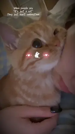 It's not just a cat