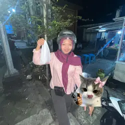 kucing tembak 