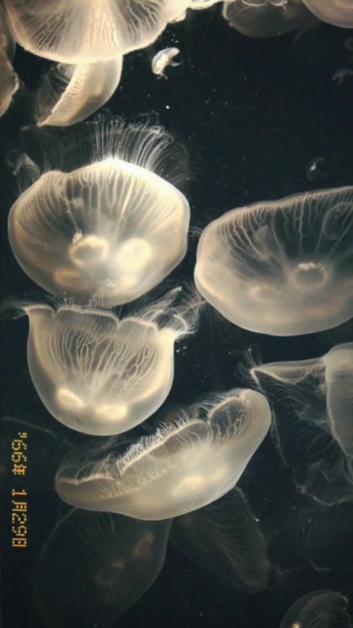 คนที่แสนดี