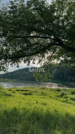Nature.