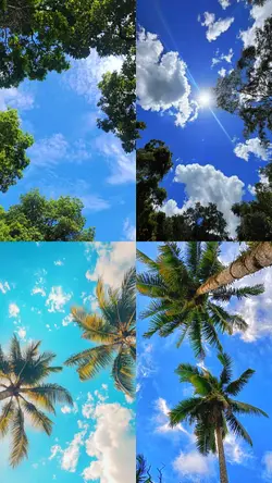 What a beautiful day