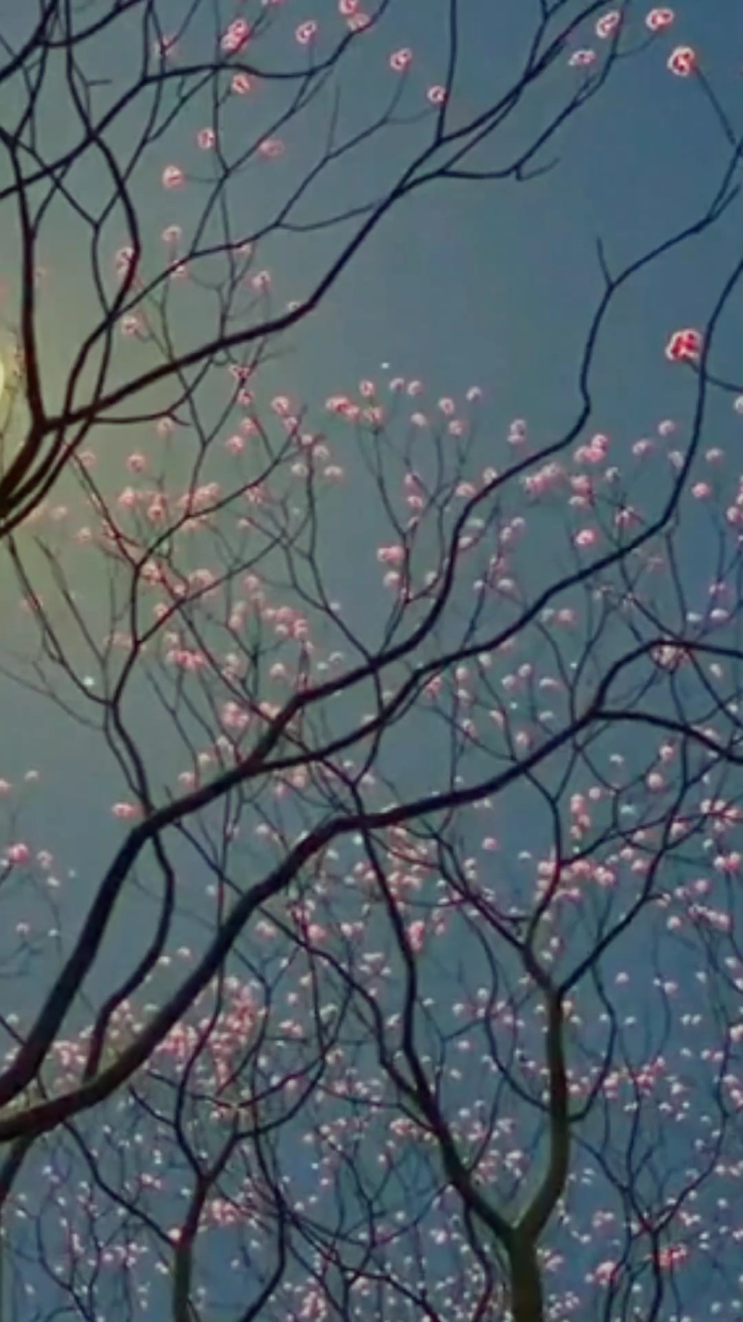 count your blessings