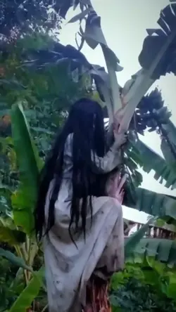 hantu dipohon pisang