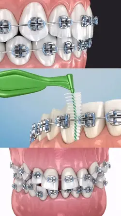 dentista/ ortodontia