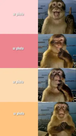 monkey trend