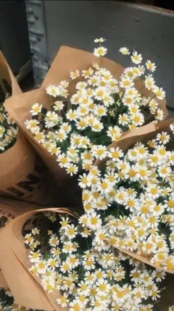 💐