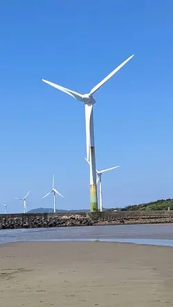 遲來的愛
