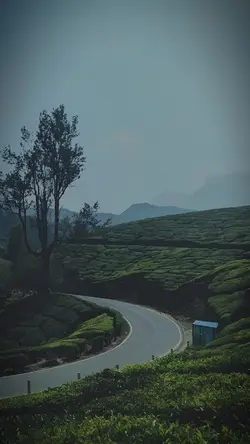 Pakikisama