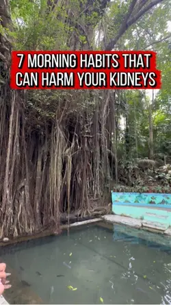 Habits damage kidney