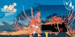 忘れられるものだけが
