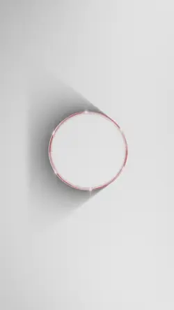 circle portrait ¹⁷
