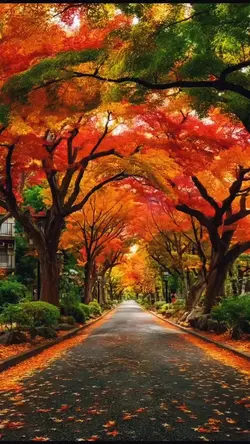 🛵SUGIちゃんネル🛵