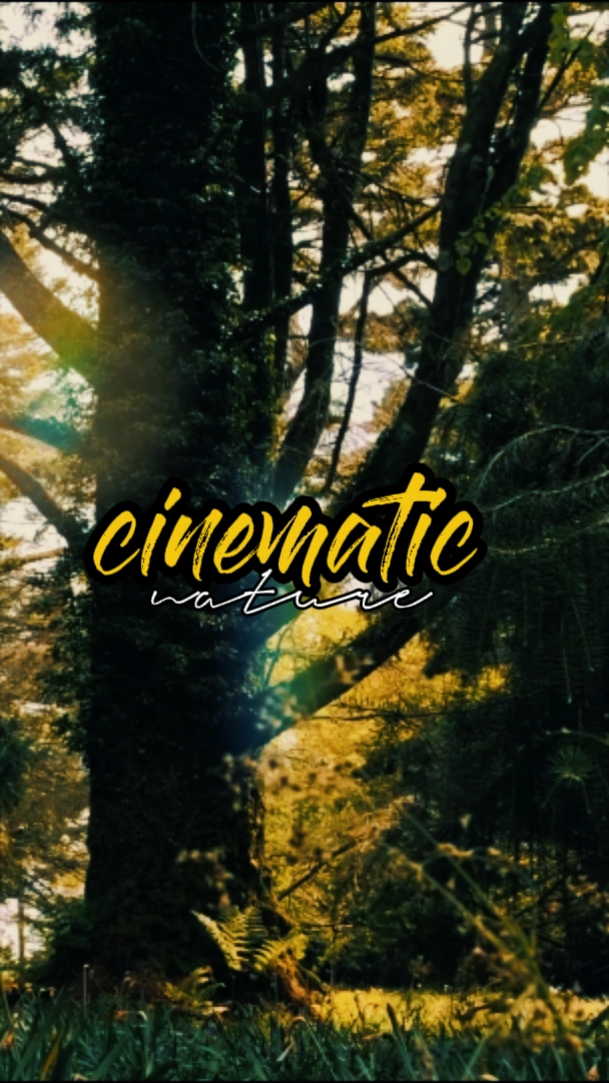 Naturaleza cinematográfica 