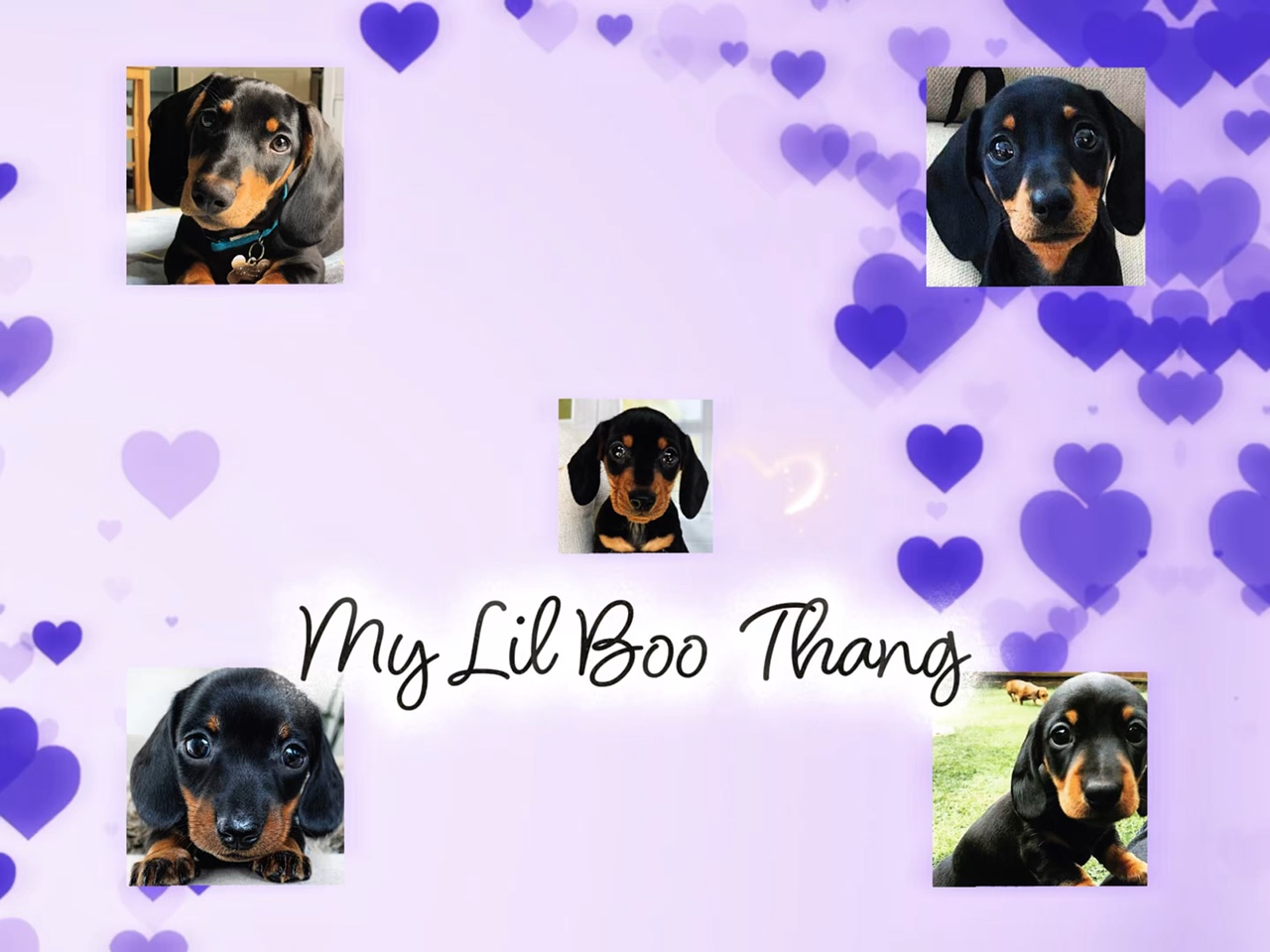 Mein Lil Boo Thang 💕