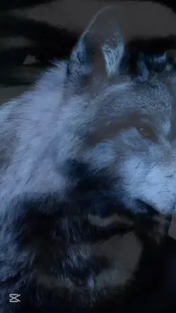 askvevatanturkiyem01