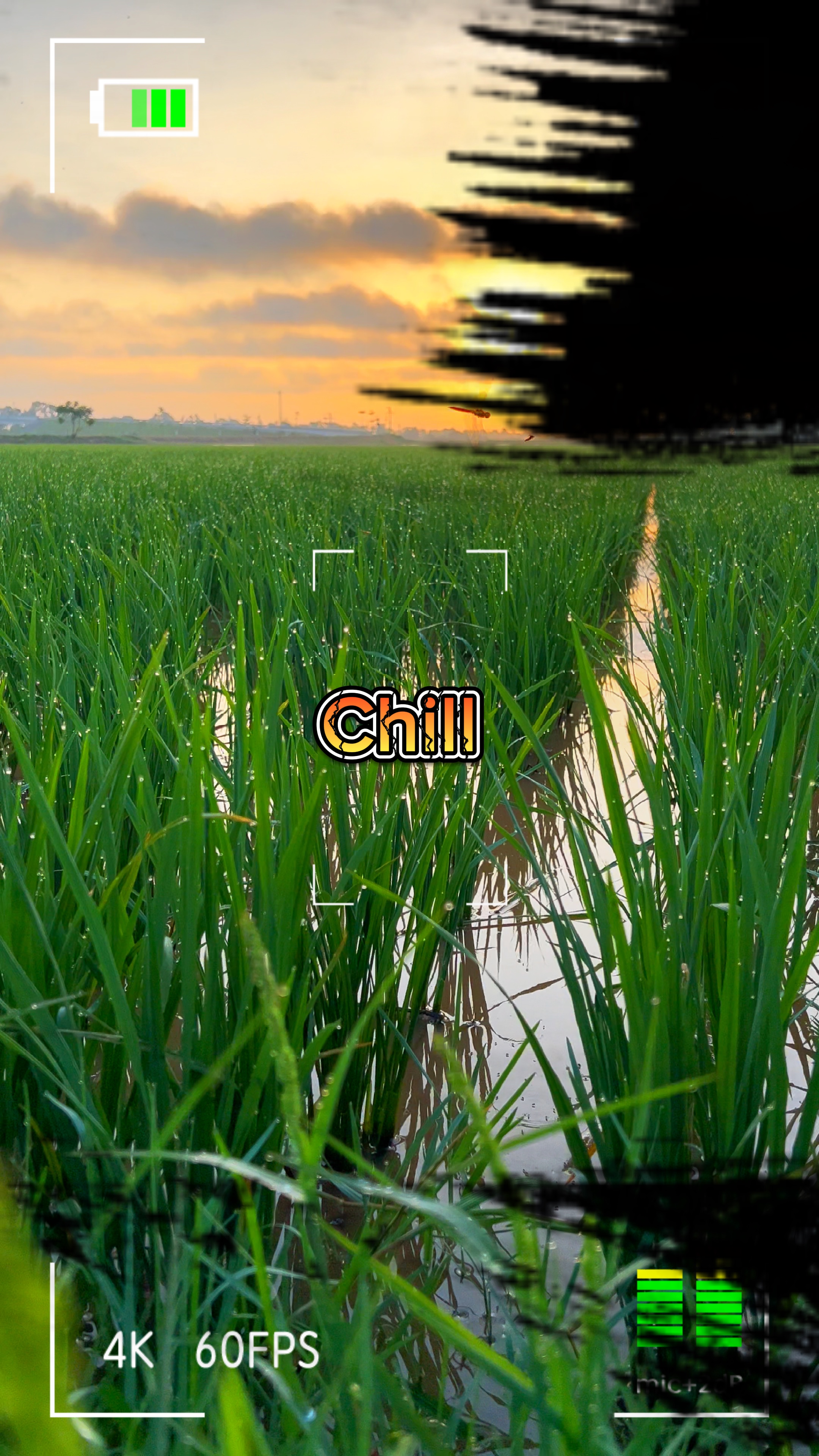 Bình minh 🌾