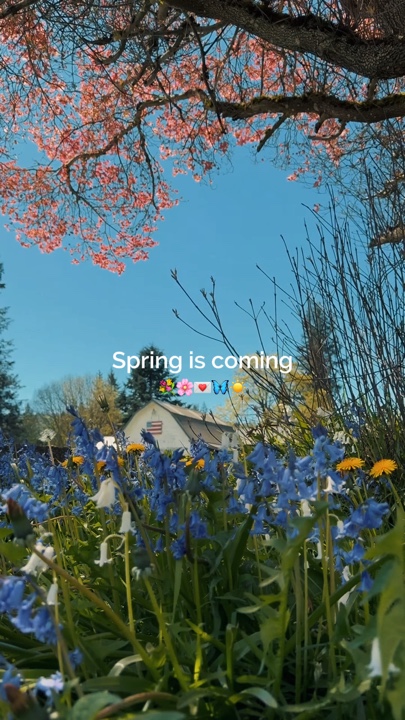 Se acerca la primavera
