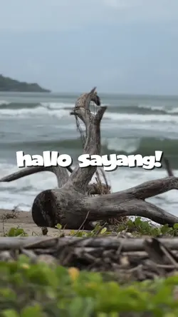 hallo sayang!