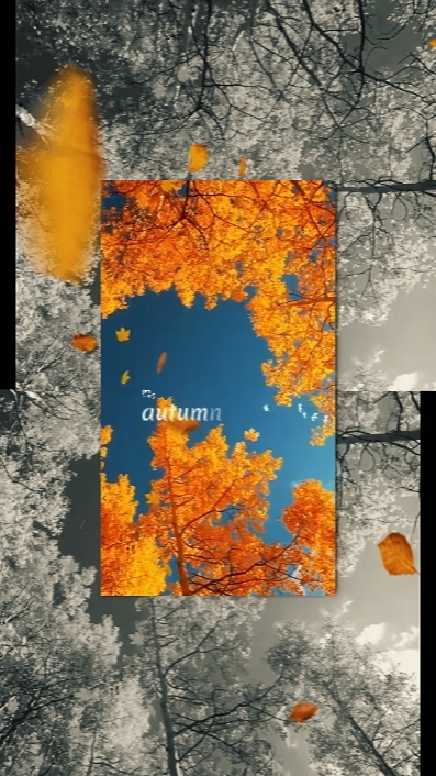 Herbstblätter 