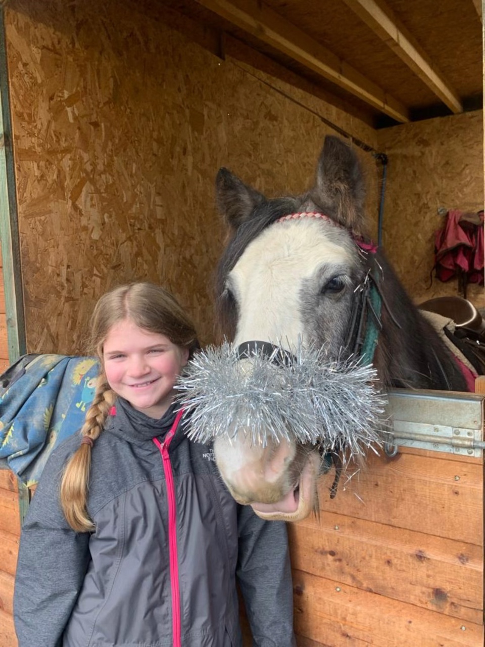 Fav coat colour 🐎