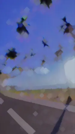 Best velocity 