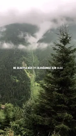 Sözlerinizi Yazın