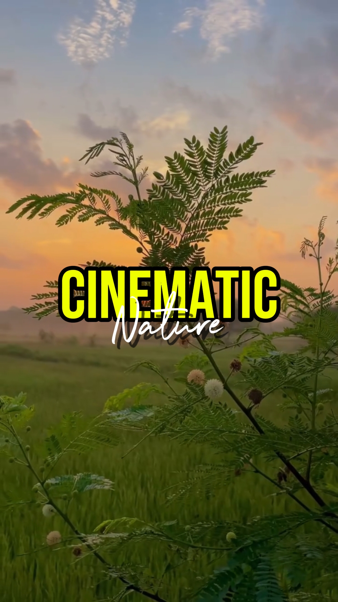 NATURE CINEMATIC