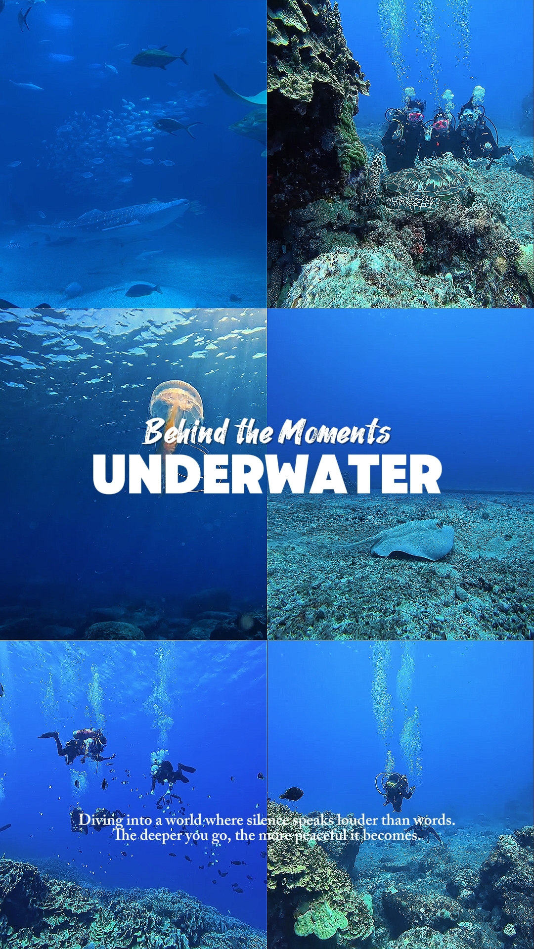 Unterwasserfotografie