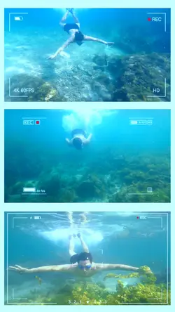 Lặn ngắm san hô