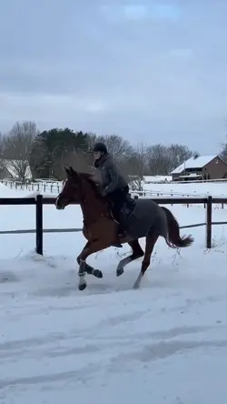 Winter vibes