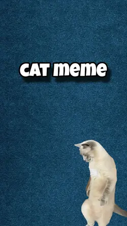 cat viral
