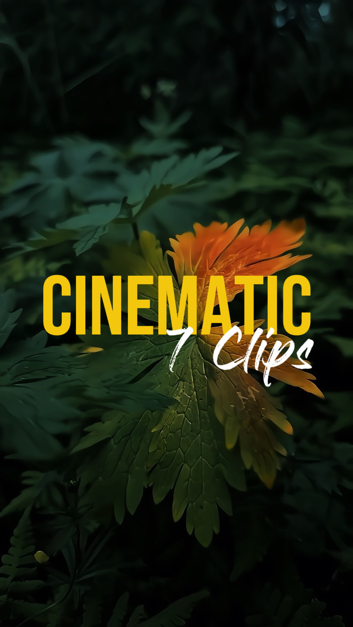 CINEMATIC