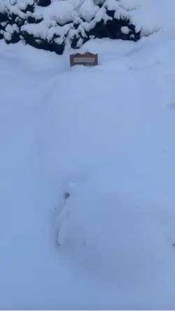 Happy Birthday Opa..