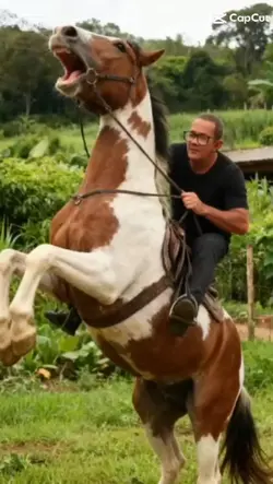 Efeito Cowboy 
