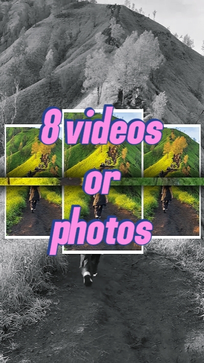 8 videos or photos 