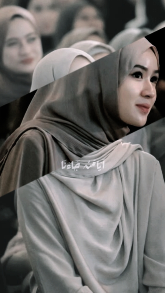 Sholata