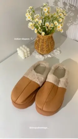 indoor slippers