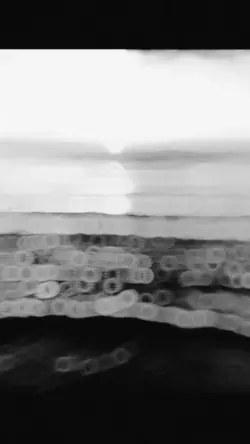 Viral 