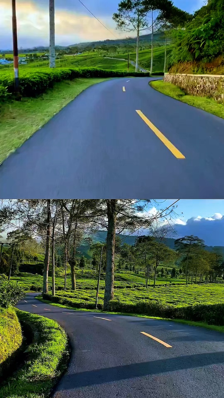 2 video collage