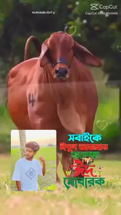 কুরবানি ঈদ