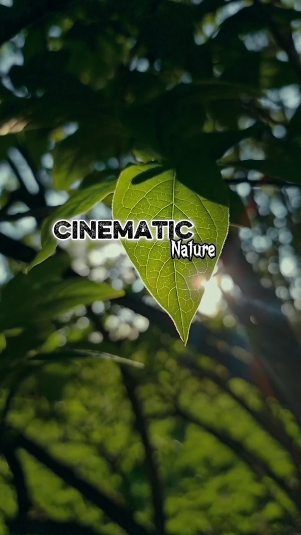 Cinématique 7 Clips 