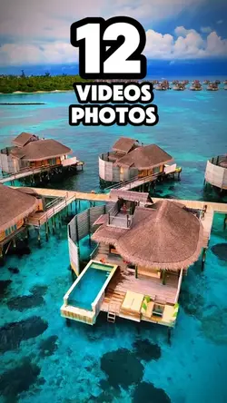 12 videos or photos