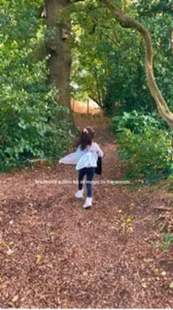 Woodland walk