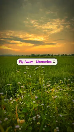Fly Away - Memories