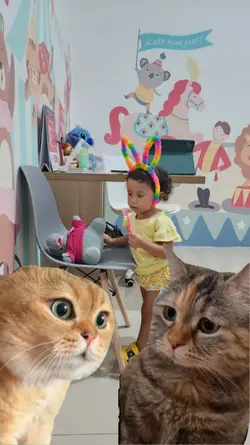 Greenscreen 2 Kucing