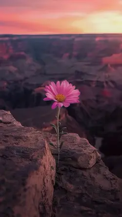 Simple 6 video clips