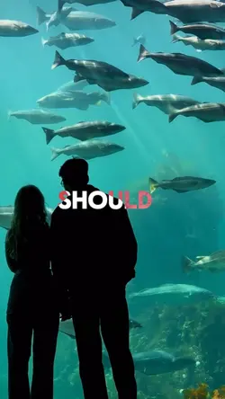 you should know i
