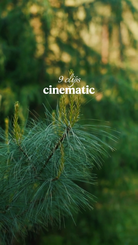 9 clips cinématiques
