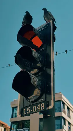 CINEMATIC TRANSITION